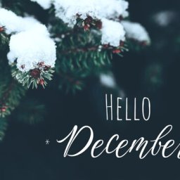 Hello December