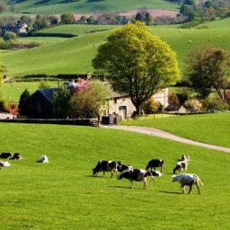Fall on the farm in the 70s