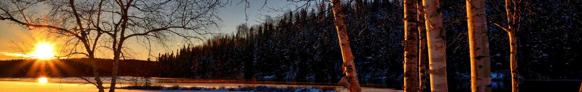 shop cook & simple living